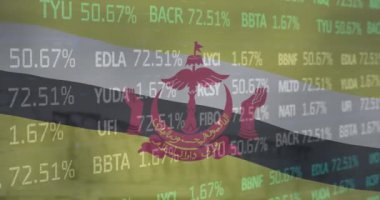 Finansal veri işleme üzerine brunei bayrağı animasyonu. Ulusal ekonomi, bağlantı, finans, dijital arayüz ve iletişim, dijital olarak oluşturulmuş video.