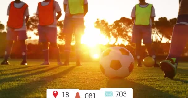 Animacja Powiadomień Mediach Społecznościowych Różnorodnych Treningach Męskich Drużyn Piłkarskich Boisku — Wideo stockowe