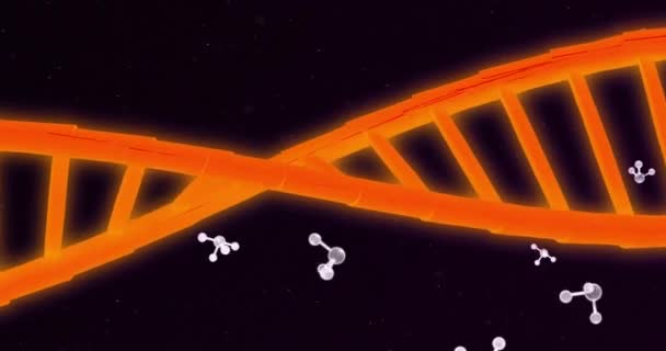 Animación Hebra Adn Sobre Moléculas Tecnología Ciencia Interfaz Digital Concepto — Vídeos de Stock