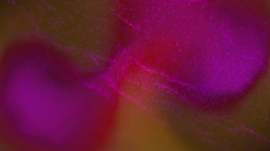 Sarı arkaplanda pembe noktaların animasyonu. Şekiller, şablon ve arkaplan konsepti, dijital olarak oluşturulmuş video.