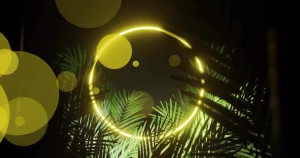 Animation Von Blättern Und Lichtflecken Über Neon Kreis Auf Schwarzem — Stockvideo