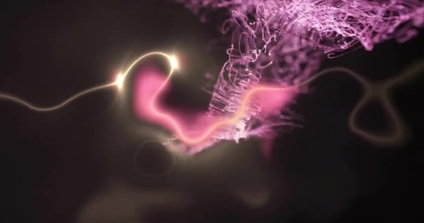 Animatie Van Gloeiende Roze Lichtsporen Die Zwarte Achtergrond Bewegen Kleur — Stockvideo