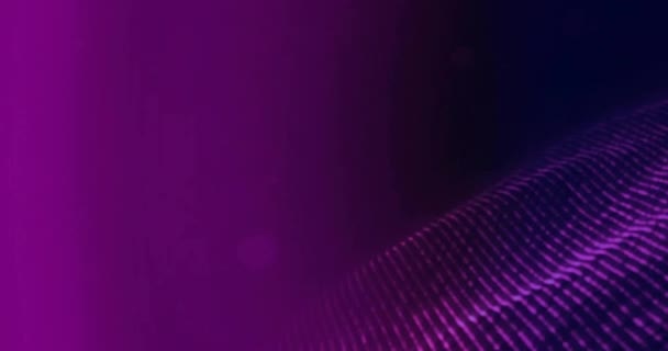 Анімація Фіолетової Світлої Сітки Рухається Чорному Тлі Концепція Кольору Форми — стокове відео