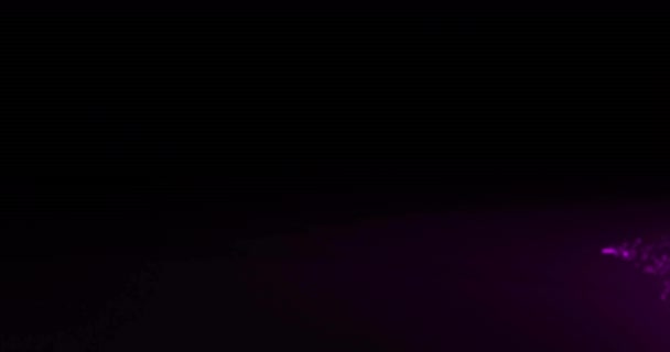Animation Glowing Purple Light Trails Moving Black Background Colour Shape — Stock Video
