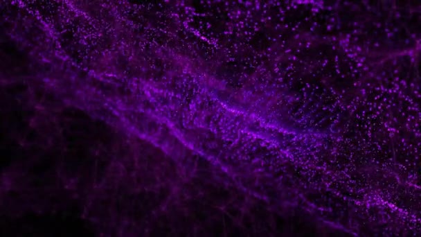 Animación Manchas Luz Púrpura Sobre Fondo Negro Formas Patrón Concepto — Vídeo de stock