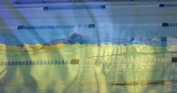 Animação Bandeira Ucrânia Sobre Nadadora Caucasiana Piscina Patriotismo Esportes Competição — Vídeo de Stock