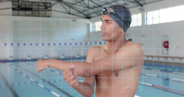 鸟类男性游泳运动员热身过程中的数据处理动画 数据处理 竞争和积极生活方式概念 数字视频 — 图库视频影像