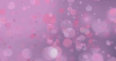 Mor arkaplandaki ışık noktalarının canlandırması. Şekiller, şablon ve arkaplan konsepti, dijital olarak oluşturulmuş video.