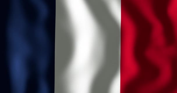 Animación Ondear Bandera Francia Rugby Seis Naciones Deporte Competición Concepto — Vídeo de stock