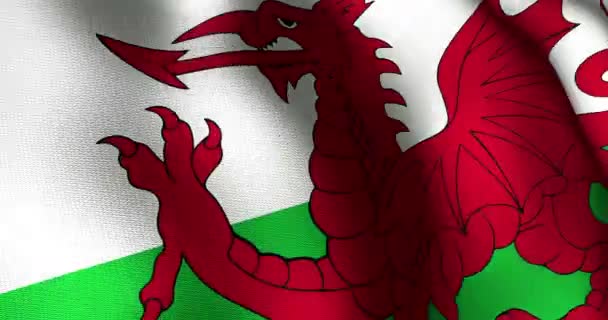 Анимация Размахивающего Флагом Уэльса Регби Шесть Наций Спорт Соревнования Национальная — стоковое видео