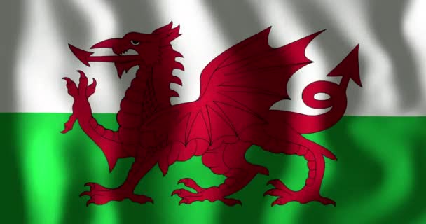 Animation Waving Flag Wales Rugby Six Nations Sports Competition Nationality — Stock Video