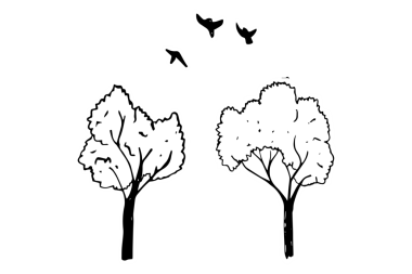 Şeffaf arka planda ağaçların ve kuşların dijital png çizimi. İzole görüntü, doğa ve ekoloji kavramı.