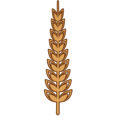 Şeffaf arka planda yaprakları olan bitkinin dijital png çizimi. İzole vektör, şekiller ve doğa konsepti.