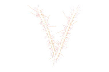 Şeffaf arkaplanda ışık izleri olan v harfinin dijital png çizimi. İzole edilmiş, harfler ve ışık kavramı.