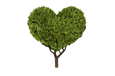 Şeffaf arkaplanda kalp şeklinde ağacın dijital png çizimi. İzole edilmiş, doğa ve aşk konsepti.