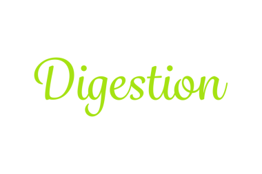 Şeffaf arkaplan üzerindeki sindirim metninin dijital png çizimi. İzole resim, metin ve ileti kavramı.