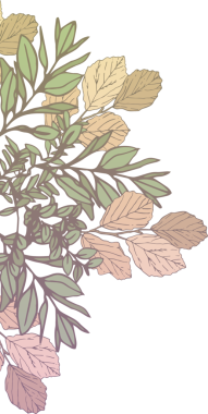 Şeffaf arkaplanda kahverengi ve yeşil yaprakların dijital png çizimi. İzole görüntü, doğa, büyüme ve mevsimler kavramı.