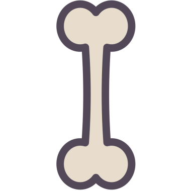 Şeffaf arkaplanda kemiğin dijital png çizimi. İzole görüntü, biyoloji ve evcil köpek muamelesi..