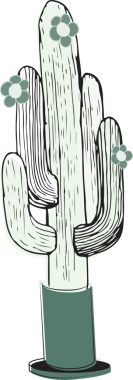 Şeffaf arka planda kaktüsün dijital png çizimi. İzole görüntü, doğa, seyahat ve yaz konsepti.