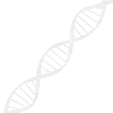 Şeffaf arkaplanda beyaz DNA iplikçiklerinin dijital png çizimi. İzole görüntü, bilim ve tıp.