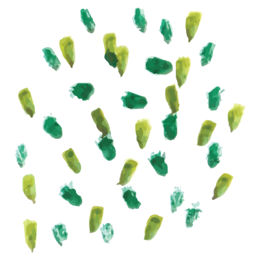 Saydam arkaplanda yeşil çoklu lekelerin dijital png çizimi. İzole görüntü, şekiller ve desenler.