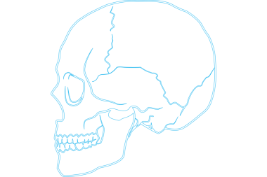 Saydam arkaplanda mavi ve şeffaf insan kafatasının dijital png çizimi. İzole görüntü, ilaç, sağlık ve biyoloji kavramı.