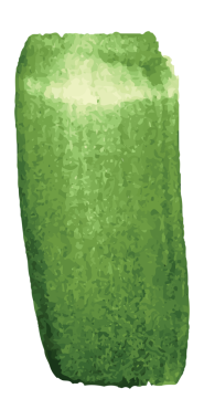 Saydam arkaplanda kopyalama alanı olan yeşil lekenin dijital png çizimi. Ayrı görüntü, renk, şekil ve yazım kavramı.