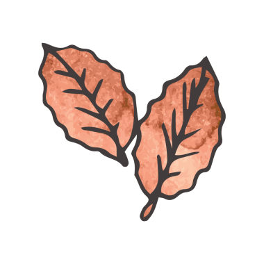 Şeffaf arkaplanda iki sonbahar yaprağının dijital png çizimi. İzole görüntü, doğa, sonbahar ve sonbahar..