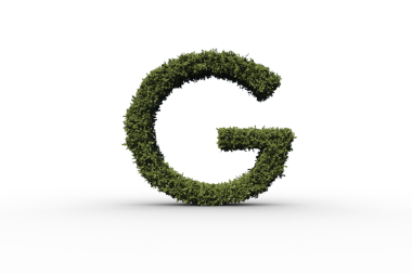Şeffaf arkaplanda çim bulunan g harfinin dijital png çizimi. İzole görüntü, harf ve doğa kavramı.