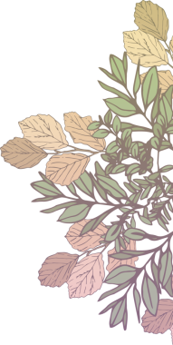 Saydam arkaplanda kopya alanı olan yaprak ve bitkilerin dijital png çizimi. İzole görüntü, doğa ve büyüme kavramı.