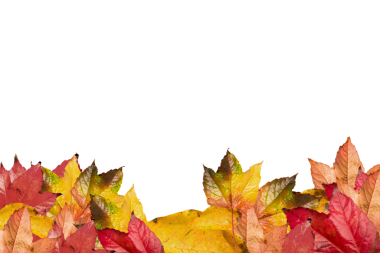 Saydam arkaplanda sonbahar yapraklarının dijital png çizimi. İzole görüntü, sonbahar ve doğa konsepti.