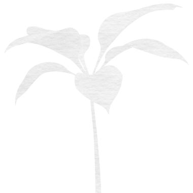 Şeffaf arkaplanda beyaz bitkinin dijital png çizimi. İzole görüntü, doğa ve şekiller kavramı.