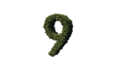 Saydam arkaplanda 9 sayılı yaprak metninin dijital png çizimi. İzole görüntü, sayı, 9, doğa..