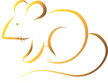 Şeffaf arkaplanda fare sembolünün dijital png çizimi. İzole görüntü, hayvan ve doğa konsepti.