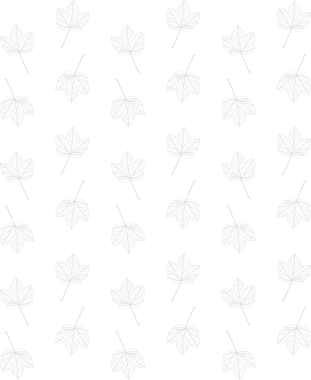 Beyaz yaprakların dijital png illüstrasyonu saydam arkaplanda tekrarlandı. İzole görüntü, şablon ve doğa kavramı.