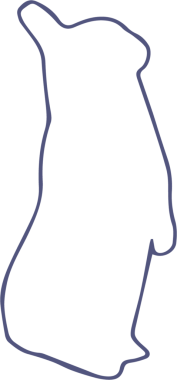 Şeffaf arkaplanda mavi penguenin dijital png çizimi. İzole görüntü, hayvan ve şekil kavramı.