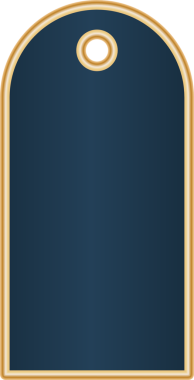 Şeffaf arkaplanda boş mavi ve altın etiketin dijital png çizimi. İzole imaj, perakende ve alışveriş kavramı.