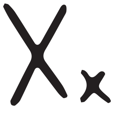 Şeffaf arkaplanda büyük ve küçük harf x 'in dijital png çizimi. İzole resim, yazı ve alfabe kavramı.