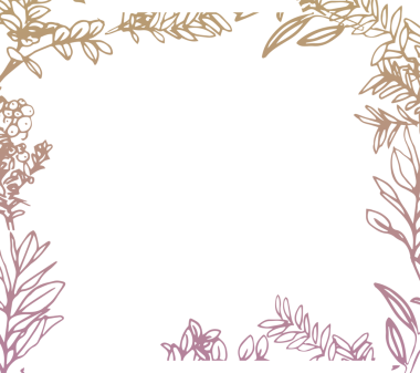 Saydam arkaplanda kopya alanı olan yaprak ve dal çerçevelerinin dijital png çizimi. Ayrı resim, tasarım arkaplan ve maket.