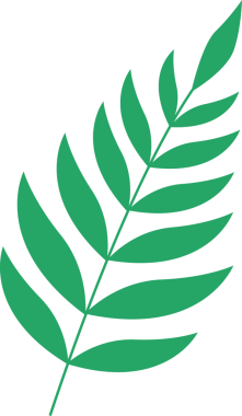 Digital png illustration of plant with green leaves on transparent background. Isolated image, nature and plants.