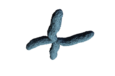 Şeffaf arkaplanda kromozomun dijital png çizimi. İzole görüntü, kimya, bilim ve tıp konsepti.