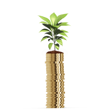 Saydam arkaplanda para yığını ve büyüyen bitkinin dijital png çizimi. İzole imaj, finans ve para.