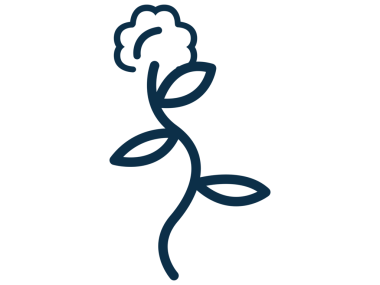 Şeffaf arkaplanda mavi çiçeğin dijital png çizimi. İzole görüntü, doğa ve şekiller kavramı.