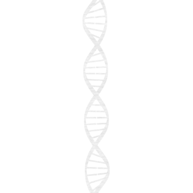 Şeffaf arkaplanda beyaz DNA iplikçiklerinin dijital png çizimi. İzole görüntü, şekiller ve bilim konsepti.