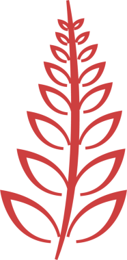 Şeffaf arka planda yaprakları olan büyük kırmızı dalın dijital png çizimi. İzole görüntü, bitki ve doğa..