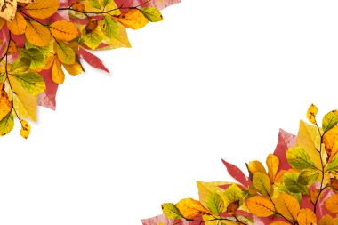 Saydam arkaplanda kopya alanı olan sonbahar yapraklarının dijital png çizimi. İzole görüntü, mevsim, bitki ve yazım konsepti.