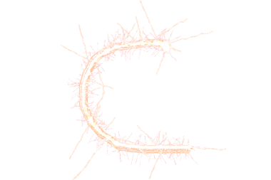 Şeffaf arkaplanda c harfinin dijital png çizimi. İzole görüntü, harf ve sembol kavramı.