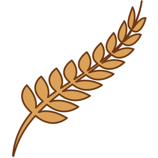 Şeffaf arkaplanda altın tahıl kulağının dijital png çizimi. İzole görüntü, bitkiler ve doğa.