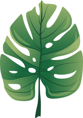 Şeffaf arkaplanda yeşil yaprağın dijital png çizimi. İzole görüntü, doğa ve şekil kavramı.