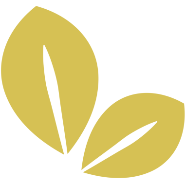 Şeffaf arkaplanda iki yeşil yaprağın dijital png çizimi. İzole görüntü, şekil, renk ve bitki kavramı.